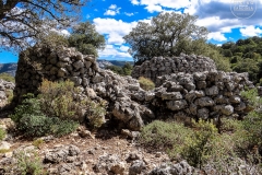 Villaggio Or Murales