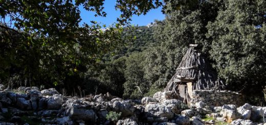 TREKKING DEI 10 CUILI – VALLE DI LANAITHO