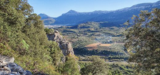 Anello di Monte Tundu - Su Listincu - Ziu Paule-5