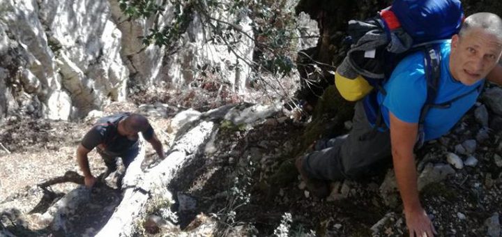 Ischala 'e su halavrhile